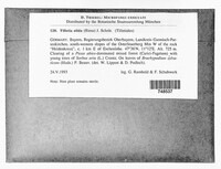 Image Associated With the Occurence